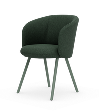 画像をギャラリービューアに読み込む, ミカド アームチェア