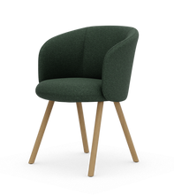 画像をギャラリービューアに読み込む, ミカド アームチェア