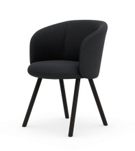 画像をギャラリービューアに読み込む, ミカド アームチェア