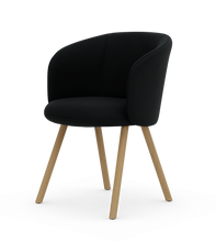 画像をギャラリービューアに読み込む, ミカド アームチェア