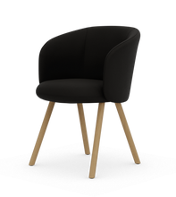 画像をギャラリービューアに読み込む, ミカド アームチェア