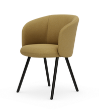 画像をギャラリービューアに読み込む, ミカド アームチェア