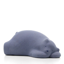 画像をギャラリービューアに読み込む, レスティング ベア