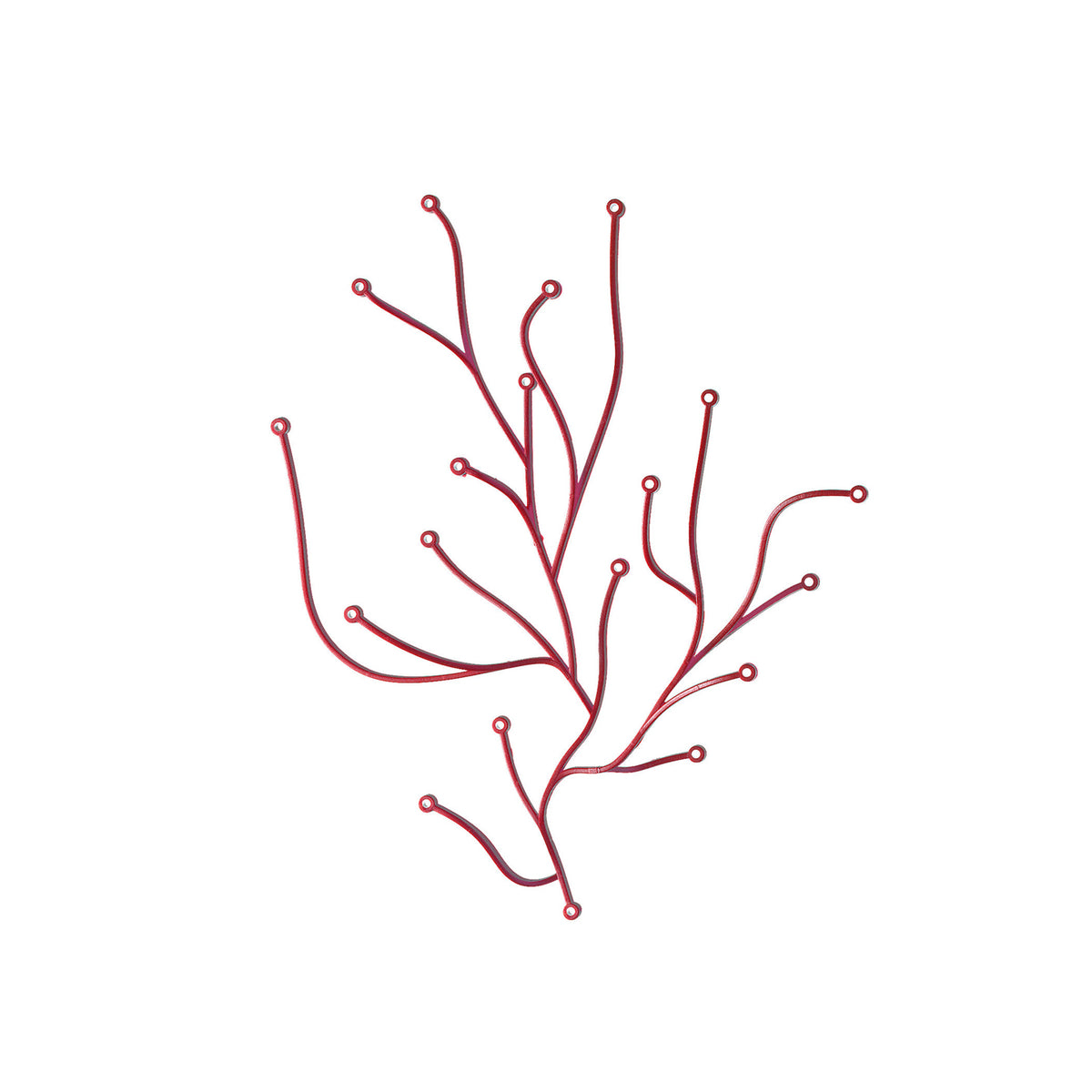 66262_Algue_v_fullbleed_1440xr 66262_Algue_v_fullbleed_1440xr